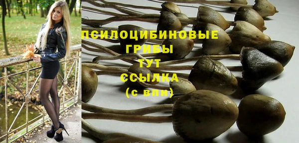 MESCALINE Новозыбков