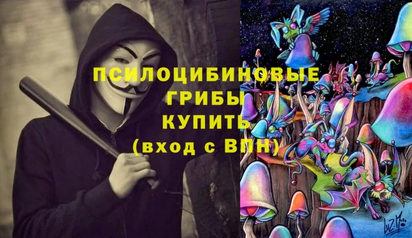 каннабис Новокубанск