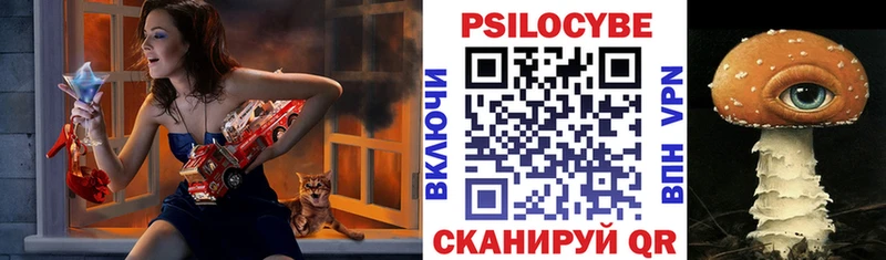 Галлюциногенные грибы Cubensis  Краснокамск 